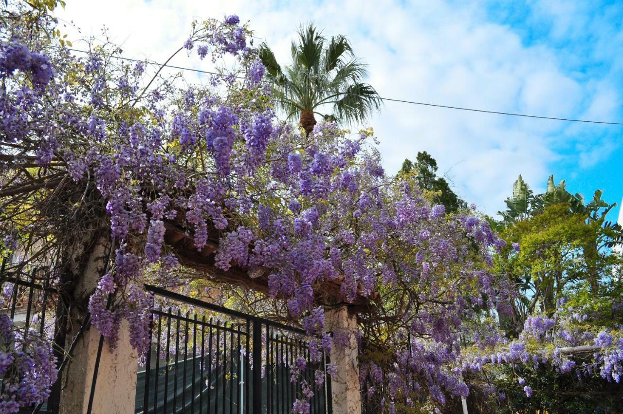 Villa Bea Giardini Naxos Εξωτερικό φωτογραφία